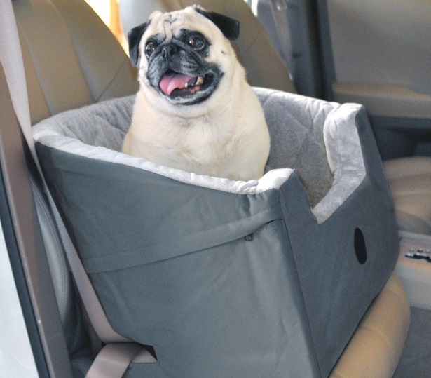 MiniTeasure Black Pet Booster Car Seat 