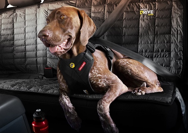  EzyDog Drive Safety Travel Dog Car Harness